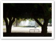 (12/16): spojrzenie na fontann spod koron drzew