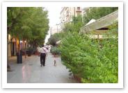 (16/21): pełna zieleni, spokojna ulica poza centrum