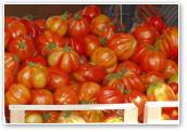 (5/12): czy znamy takie pomidory?