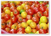 (7/12): różnokolorowe pomidory